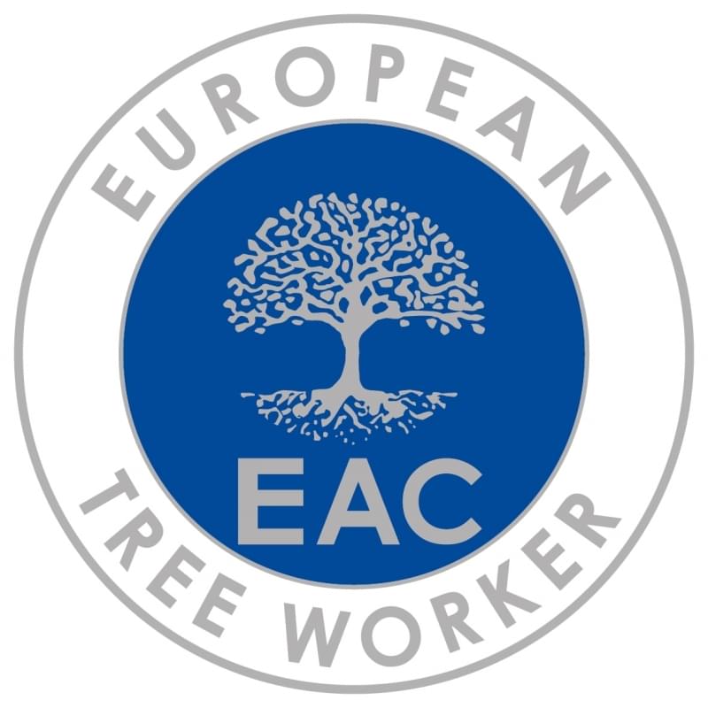 European tree worker in Falkensee